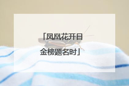 凤凰花开日 金榜题名时