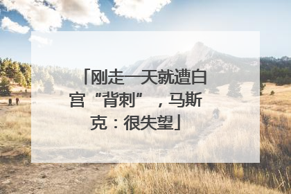 刚走一天就遭白宫“背刺”，马斯克：很失望