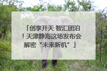 创享开天 智汇团泊！天津静海这场发布会解密“未来新机”