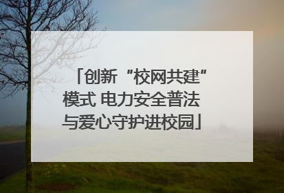 创新“校网共建”模式 电力安全普法与爱心守护进校园