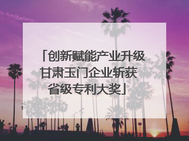 创新赋能产业升级 甘肃玉门企业斩获省级专利大奖
