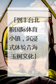 到丰台北粮国际体育小镇，沉浸式体验青海玉树文化