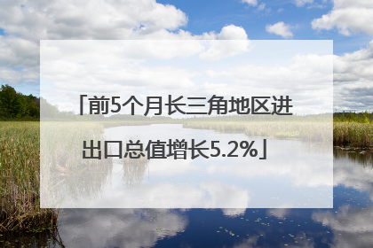 前5个月长三角地区进出口总值增长5.2%