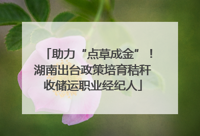 助力“点草成金”！湖南出台政策培育秸秆收储运职业经纪人