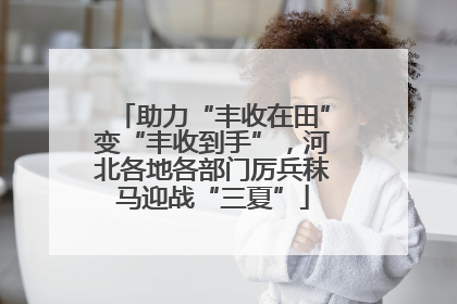 助力“丰收在田”变“丰收到手”，河北各地各部门厉兵秣马迎战“三夏”