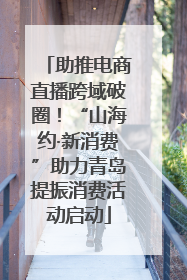 助推电商直播跨域破圈！“山海约·新消费”助力青岛提振消费活动启动