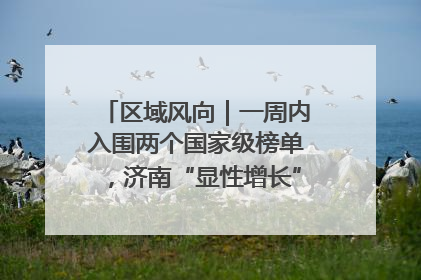 区域风向｜一周内入围两个国家级榜单，济南“显性增长”刷新城市影响力