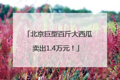 北京巨型百斤大西瓜卖出1.4万元！