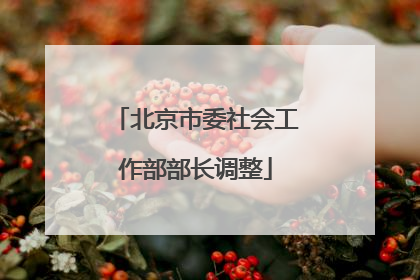 北京市委社会工作部部长调整