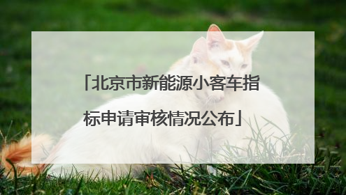 北京市新能源小客车指标申请审核情况公布