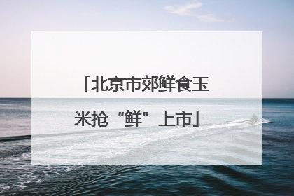 北京市郊鲜食玉米抢“鲜”上市