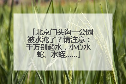 北京门头沟一公园被水淹了？请注意：千万别趟水，小心水蛇、水蛭……