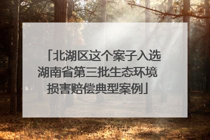北湖区这个案子入选湖南省第三批生态环境损害赔偿典型案例
