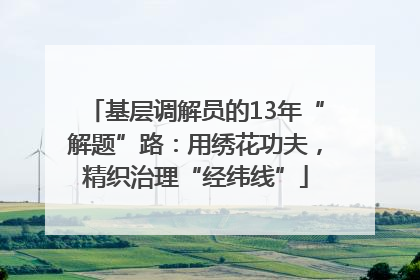 基层调解员的13年“解题”路：用绣花功夫，精织治理“经纬线”