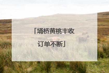 埇桥黄桃丰收 订单不断