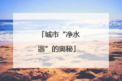 城市“净水器”的奥秘
