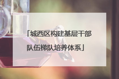 城西区构建基层干部队伍梯队培养体系
