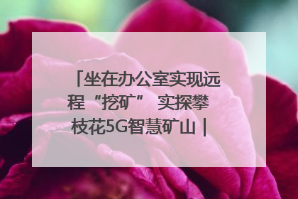 坐在办公室实现远程“挖矿” 实探攀枝花5G智慧矿山｜网络名人四川行