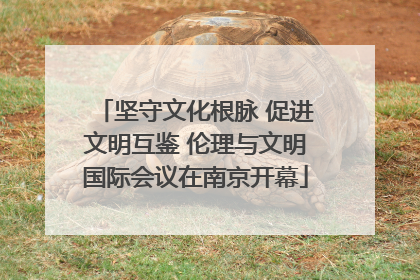 坚守文化根脉 促进文明互鉴 伦理与文明国际会议在南京开幕