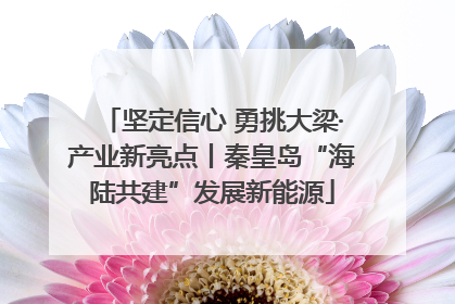 坚定信心 勇挑大梁·产业新亮点丨秦皇岛“海陆共建”发展新能源