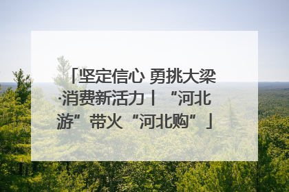 坚定信心 勇挑大梁·消费新活力丨“河北游”带火“河北购”