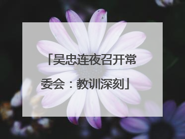 吴忠连夜召开常委会：教训深刻
