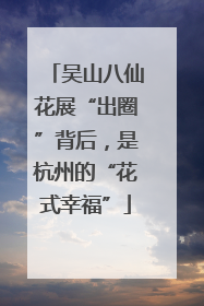 吴山八仙花展“出圈”背后，是杭州的“花式幸福”