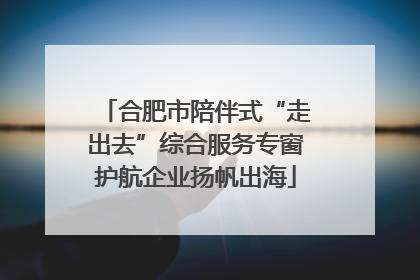 合肥市陪伴式“走出去”综合服务专窗护航企业扬帆出海
