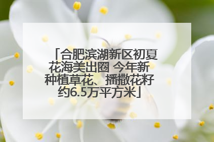 合肥滨湖新区初夏花海美出圈 今年新种植草花、播撒花籽约6.5万平方米