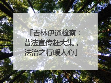 吉林伊通检察：普法宣传赶大集，法治之行暖人心