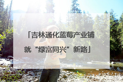 吉林通化蓝莓产业铺就“绿富同兴”新路