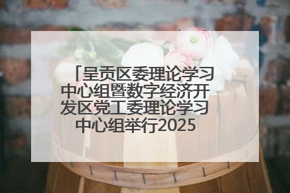 呈贡区委理论学习中心组暨数字经济开发区党工委理论学习中心组举行2025年第七次学习会议
