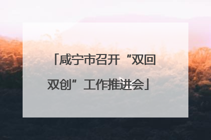咸宁市召开“双回双创”工作推进会