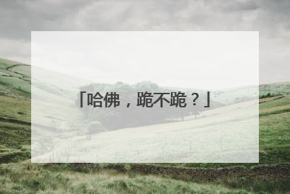 哈佛，跪不跪？