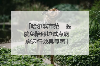 哈尔滨市第一医院免陪照护试点病房运行效果显著