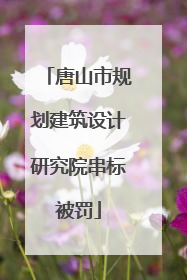 唐山市规划建筑设计研究院串标被罚