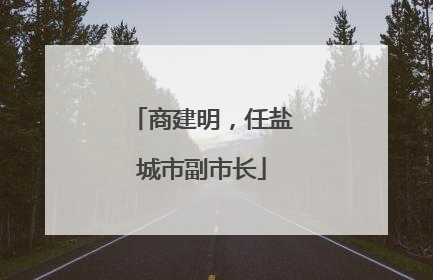 商建明，任盐城市副市长