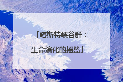 喀斯特峡谷群：生命演化的摇篮