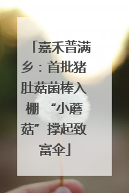 嘉禾普满乡：首批猪肚菇菌棒入棚 “小蘑菇”撑起致富伞