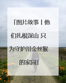 图片故事丨他们扎根深山 只为守护川金丝猴的家园