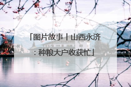 图片故事丨山西永济：种粮大户收获忙