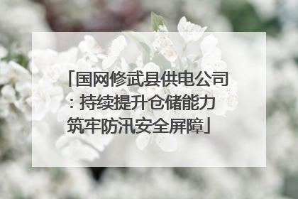 国网修武县供电公司：持续提升仓储能力 筑牢防汛安全屏障