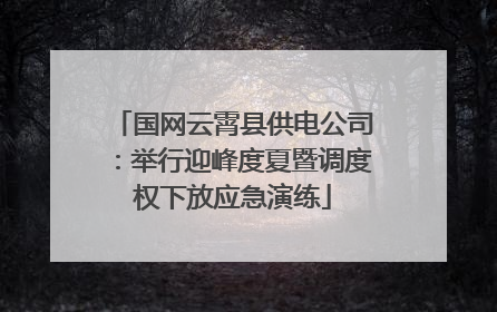 国网云霄县供电公司：举行迎峰度夏暨调度权下放应急演练