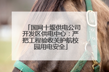 国网十堰供电公司开发区供电中心：严把工程验收关护航校园用电安全