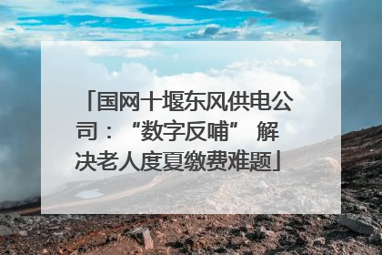 国网十堰东风供电公司：“数字反哺” 解决老人度夏缴费难题