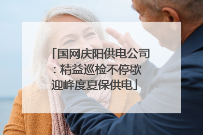 国网庆阳供电公司：精益巡检不停歇 迎峰度夏保供电