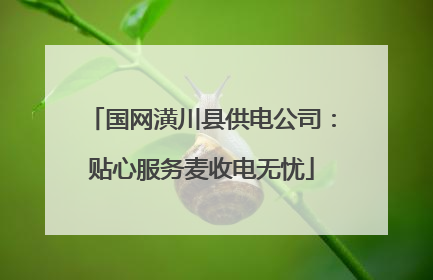 国网潢川县供电公司：贴心服务麦收电无忧