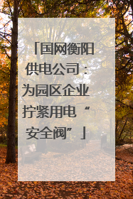 国网衡阳供电公司：为园区企业拧紧用电“安全阀”