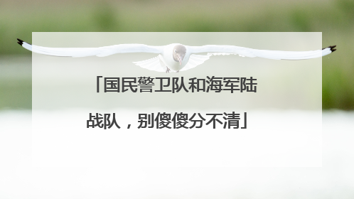 国民警卫队和海军陆战队，别傻傻分不清