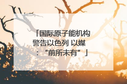 国际原子能机构警告以色列 以媒：“前所未有”